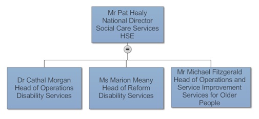 Social Care Org Structure Social Care Org Structure